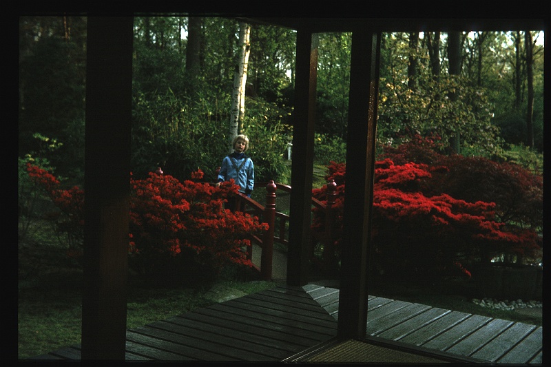 30.JapanseTuin jun 1974 Peter.JPG